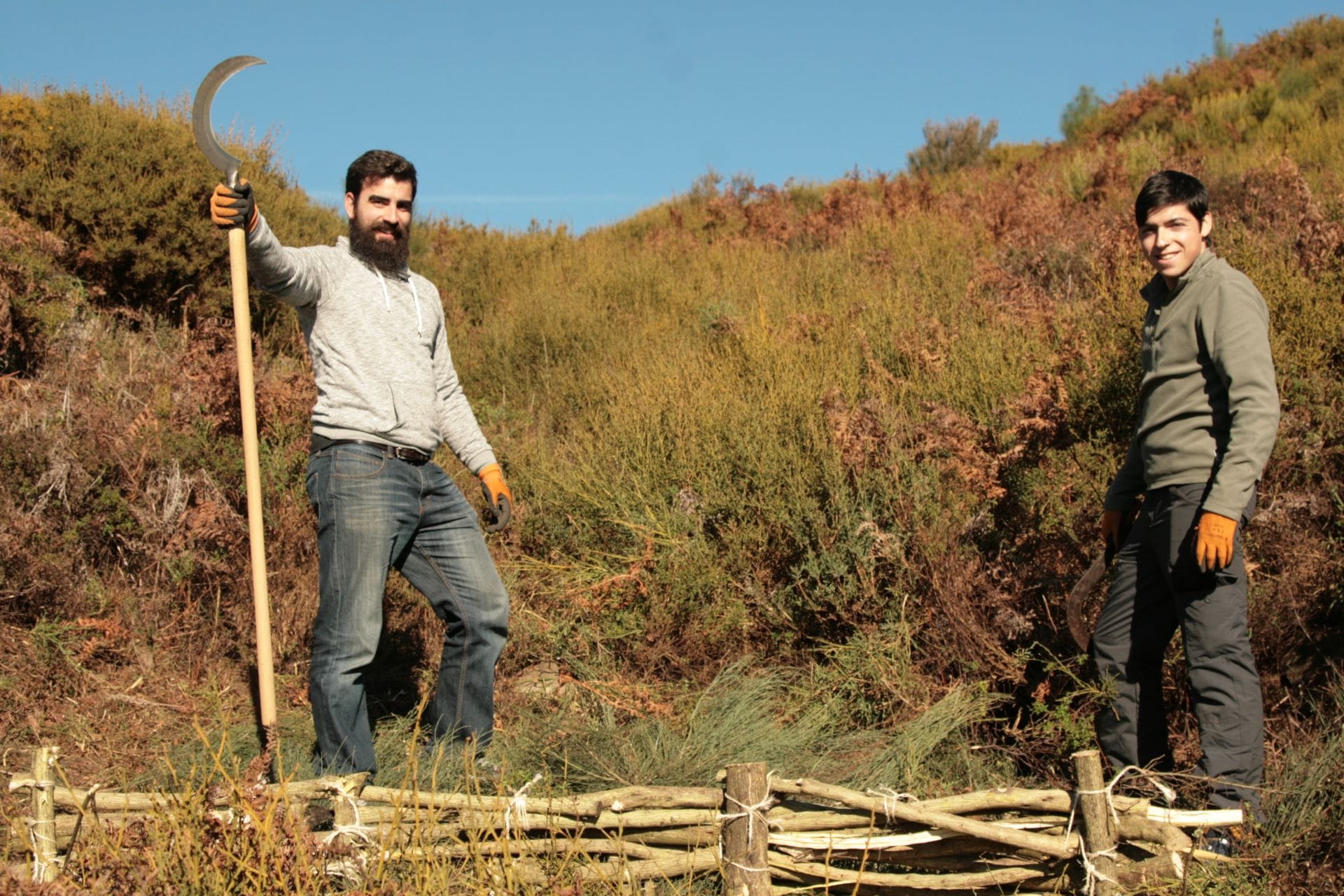 MONTIS – Associação de Conservação da Natureza