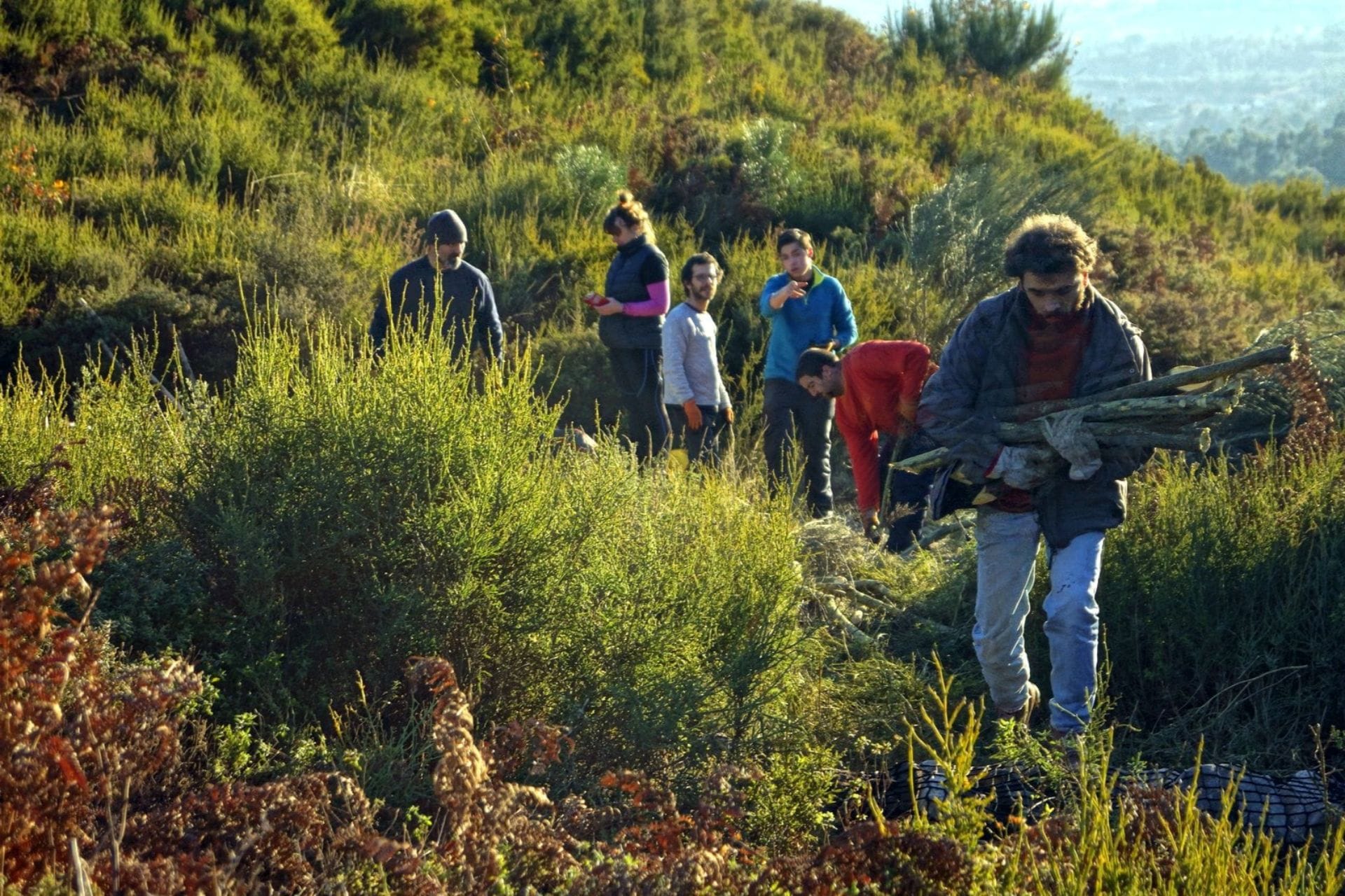 MONTIS – Associação de Conservação da Natureza