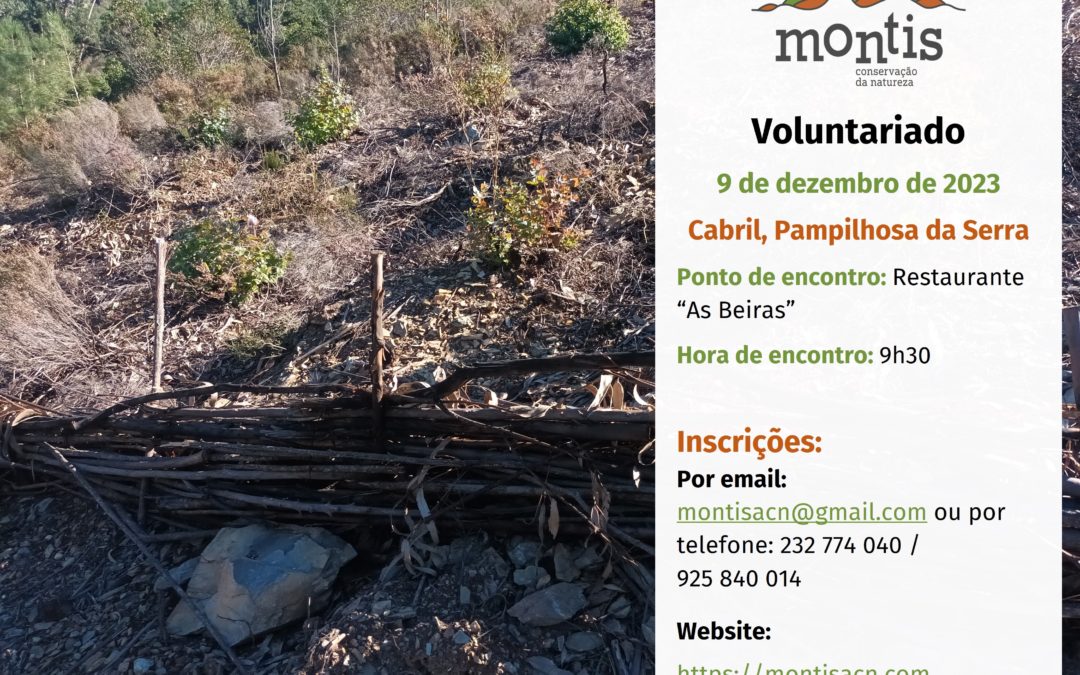 Voluntariado mensal na Pampilhosa da Serra